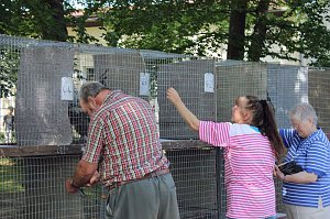 Pfingstfest auf der Feuerkuppe