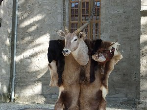 Zwei Feste in Weißensee