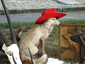 Zwei Feste in Weißensee