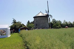 Neues von der M&uuml;hle Immenrode
