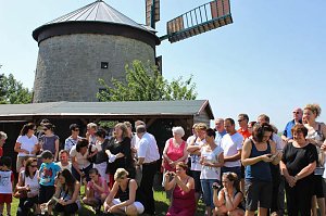 Neues von der M&uuml;hle Immenrode