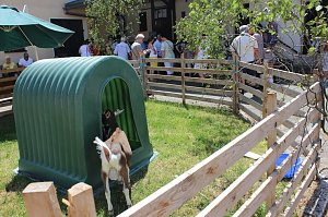 M&uuml;hlentag in Greu&szlig;en