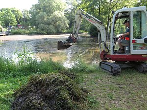 Kampf dem Krause Laichkraut