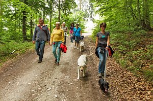 Der Tag des Hundes...