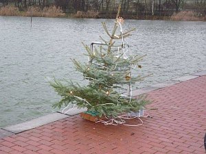 Weihnachtstauchen im Bebraer Teich