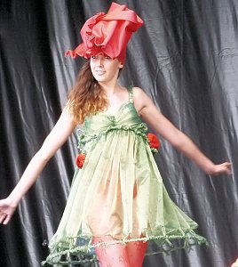 Flower Power beim Rolandsfest