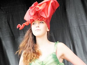 Flower Power beim Rolandsfest