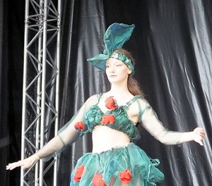Flower Power beim Rolandsfest