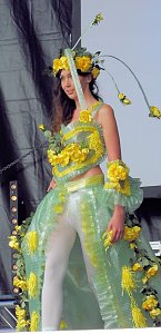 Flower Power beim Rolandsfest