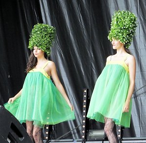 Flower Power beim Rolandsfest