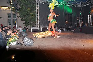 Abendshow auf der Rathausb&uuml;hne