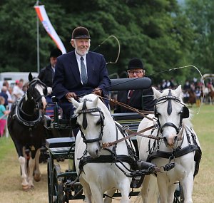 Ponyfest in W&uuml;lfingerode