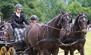 Ponyfest in W&uuml;lfingerode