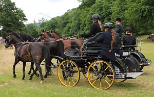 Ponyfest in W&uuml;lfingerode