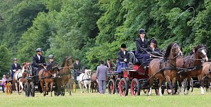 Ponyfest in W&uuml;lfingerode