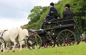 Ponyfest in W&uuml;lfingerode