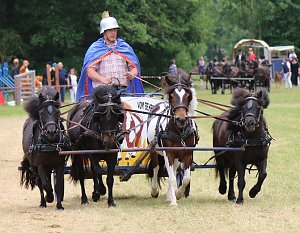 Ponyfest in W&uuml;lfingerode