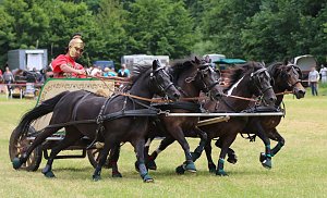 Ponyfest in W&uuml;lfingerode