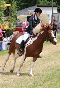 Ponyfest in W&uuml;lfingerode
