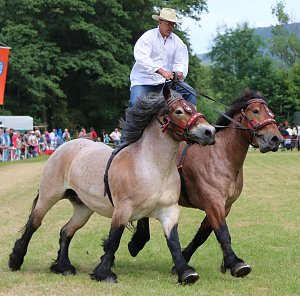 Ponyfest in W&uuml;lfingerode