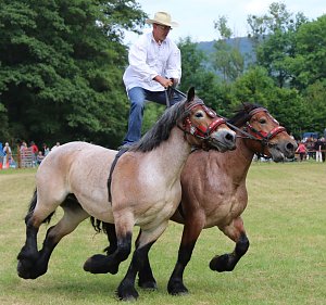 Ponyfest in W&uuml;lfingerode