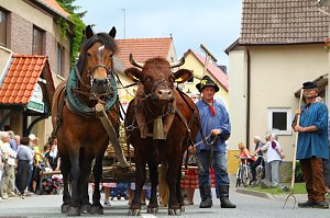 Festumzug in Rehungen