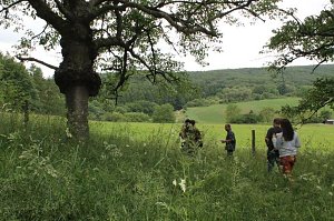 Vogel des Jahres � der Gr&uuml;nspecht