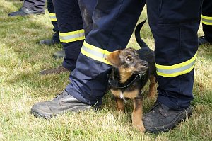 L&ouml;schangriff des Feuerwehr-Nachwuchses