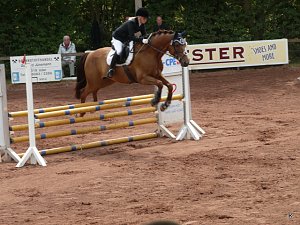 Reitturnier 2014 in Uder
