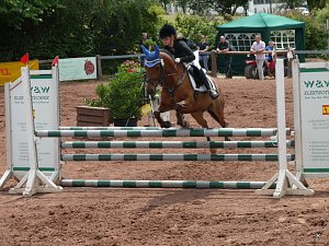Reitturnier 2014 in Uder