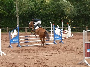 Reitturnier 2014 in Uder