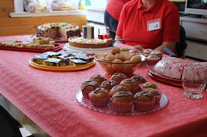 Tierisches Sommerfest
