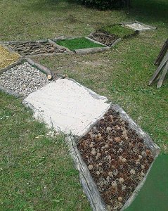"Projekt in der Natur"