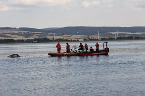 Gemeinsame Übung am Stausee