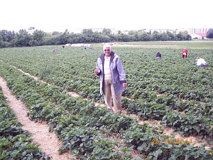 Erdbeeren und Fu&szlig;ball