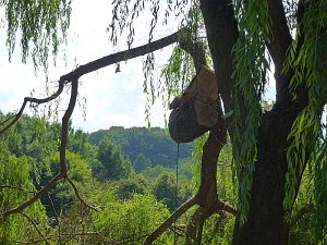 Sturmschaden auch in Sondershausen