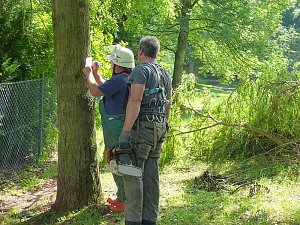 Sturmschaden auch in Sondershausen