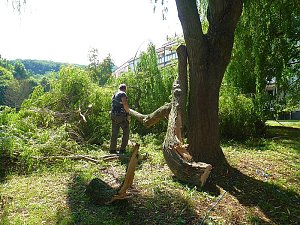 Sturmschaden auch in Sondershausen