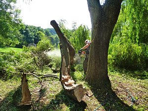 Sturmschaden auch in Sondershausen