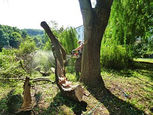 Sturmschaden auch in Sondershausen