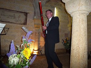 Th&uuml;ringer Orgelsommer