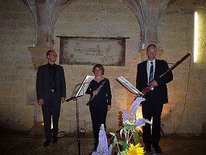 Th&uuml;ringer Orgelsommer