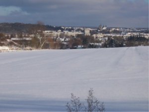 Schönheit und Kälte