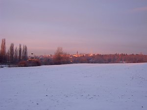 Sch&ouml;nheit und K&auml;lte