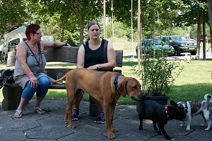Bulldoggen aller L&auml;nder....