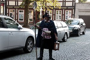 Sachsenanhalt-Tag in Wernigerode