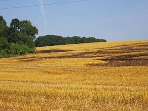 Feld brannte