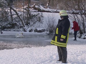 Rettungsaktion