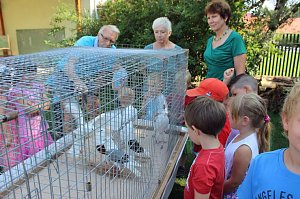 Spielend Kinder begeistern