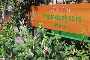 Volle Bl&uuml;tenpracht